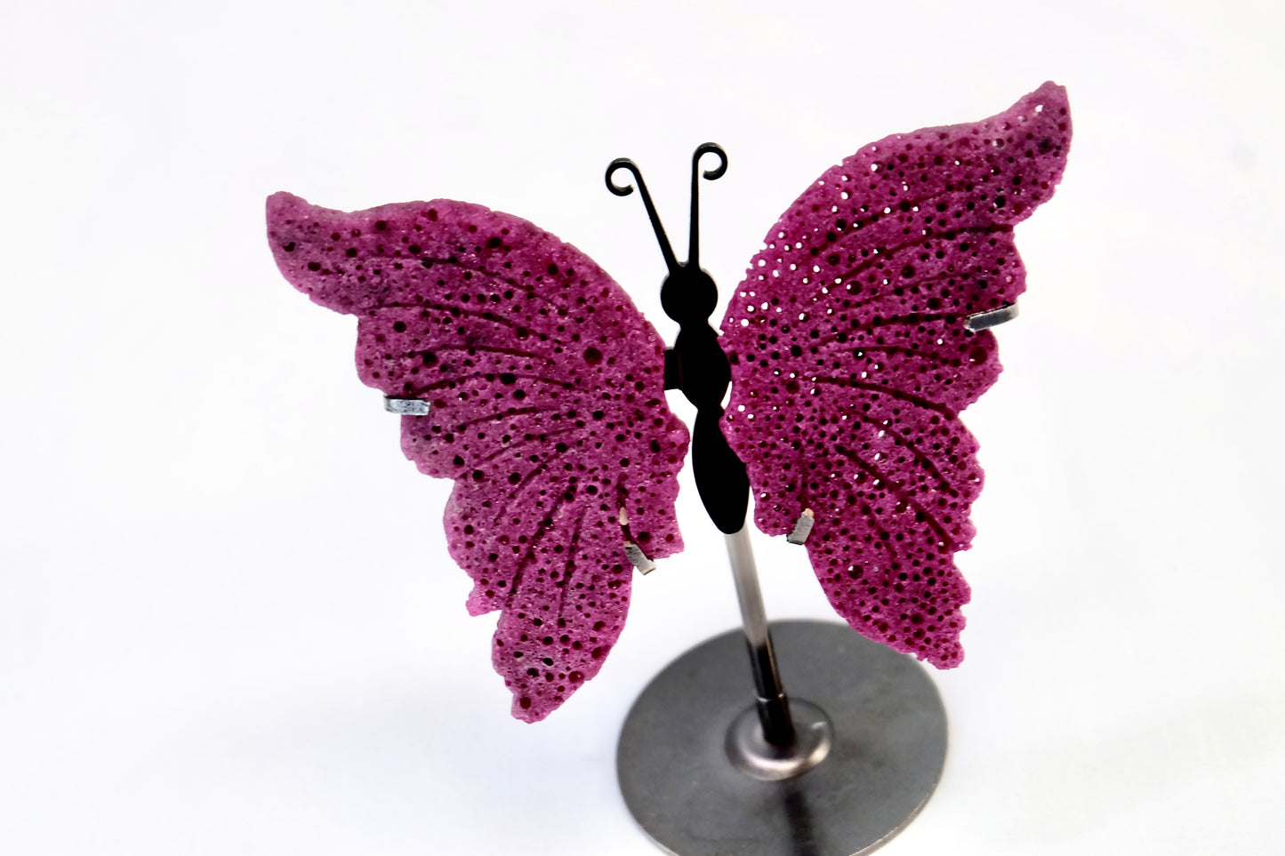 Butterfly from Hole Ruby