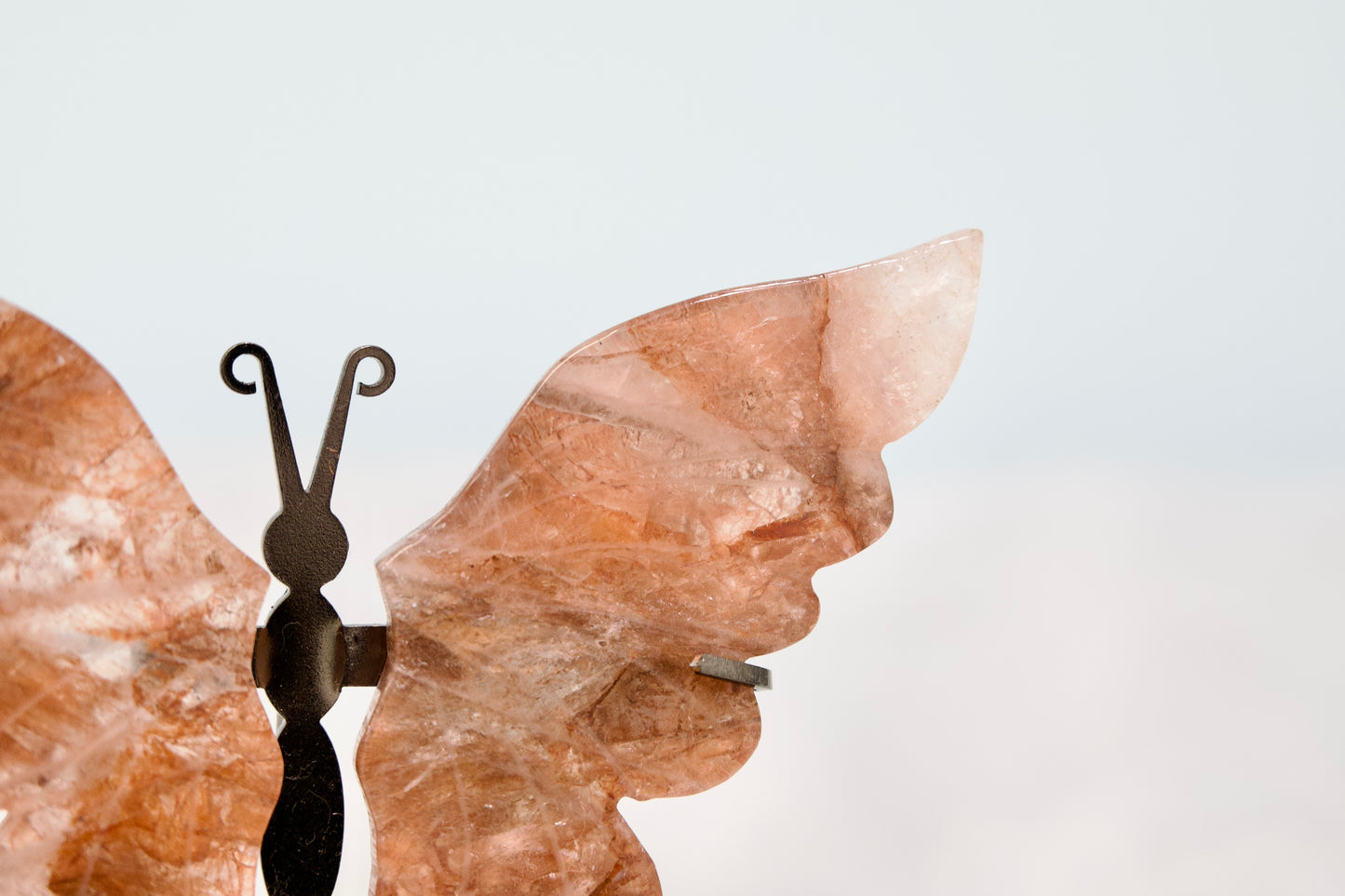 Butterfly from Stone Arrow