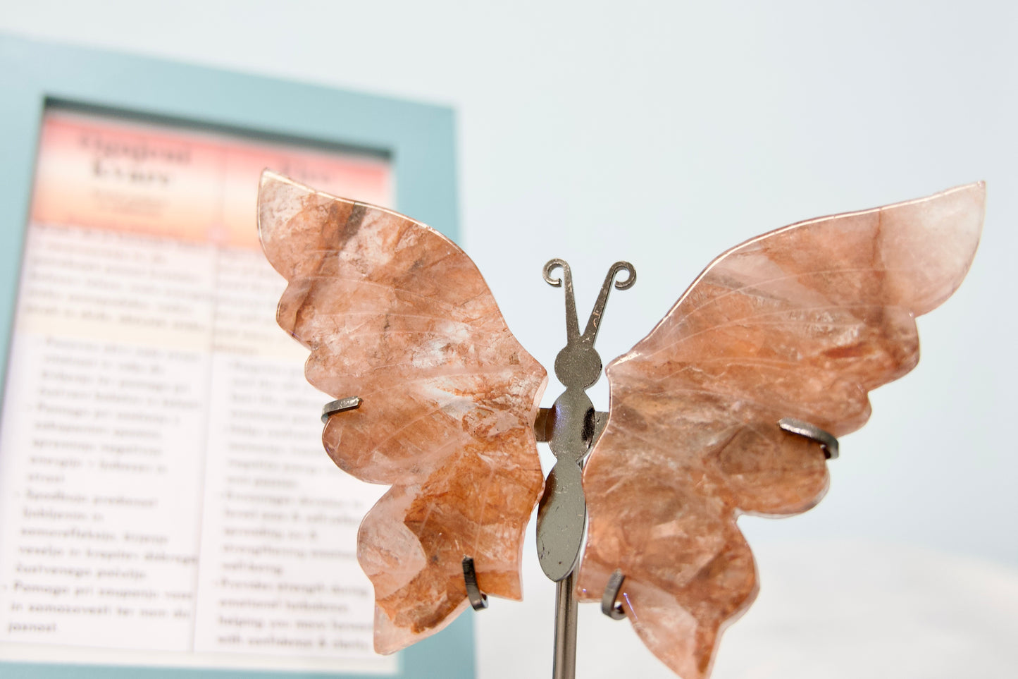 Butterfly from Stone Arrow