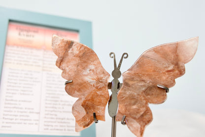 Butterfly from Stone Arrow