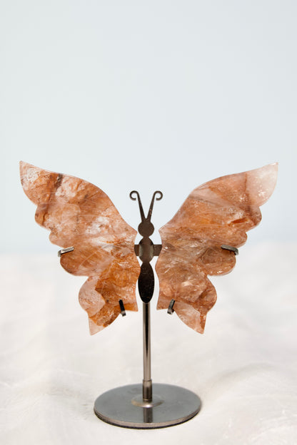 Butterfly from Stone Arrow