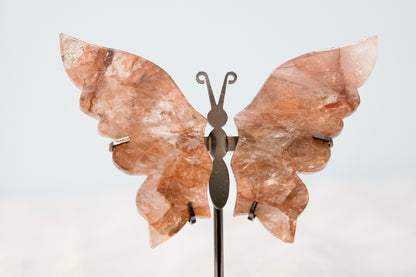 Butterfly from Stone Arrow