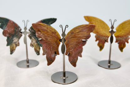 Ocean Jasper Butterfly
