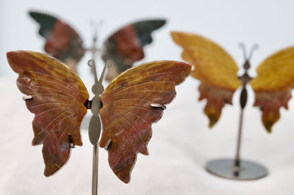 Ocean Jasper Butterfly
