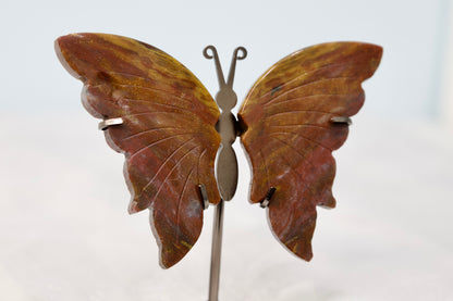 Ocean Jasper Butterfly
