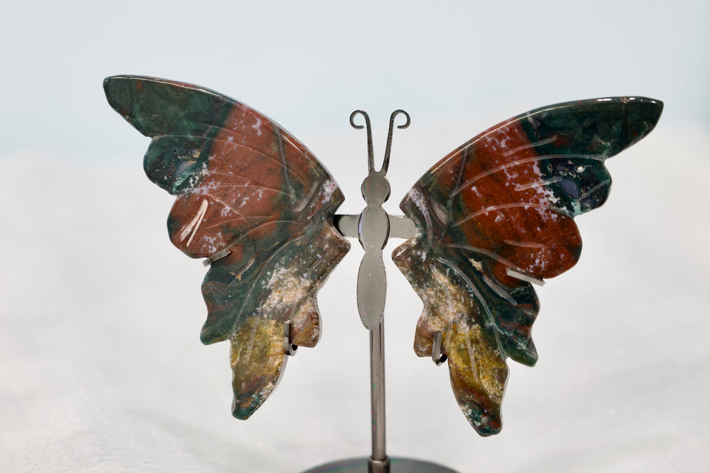 Ocean Jasper Butterfly
