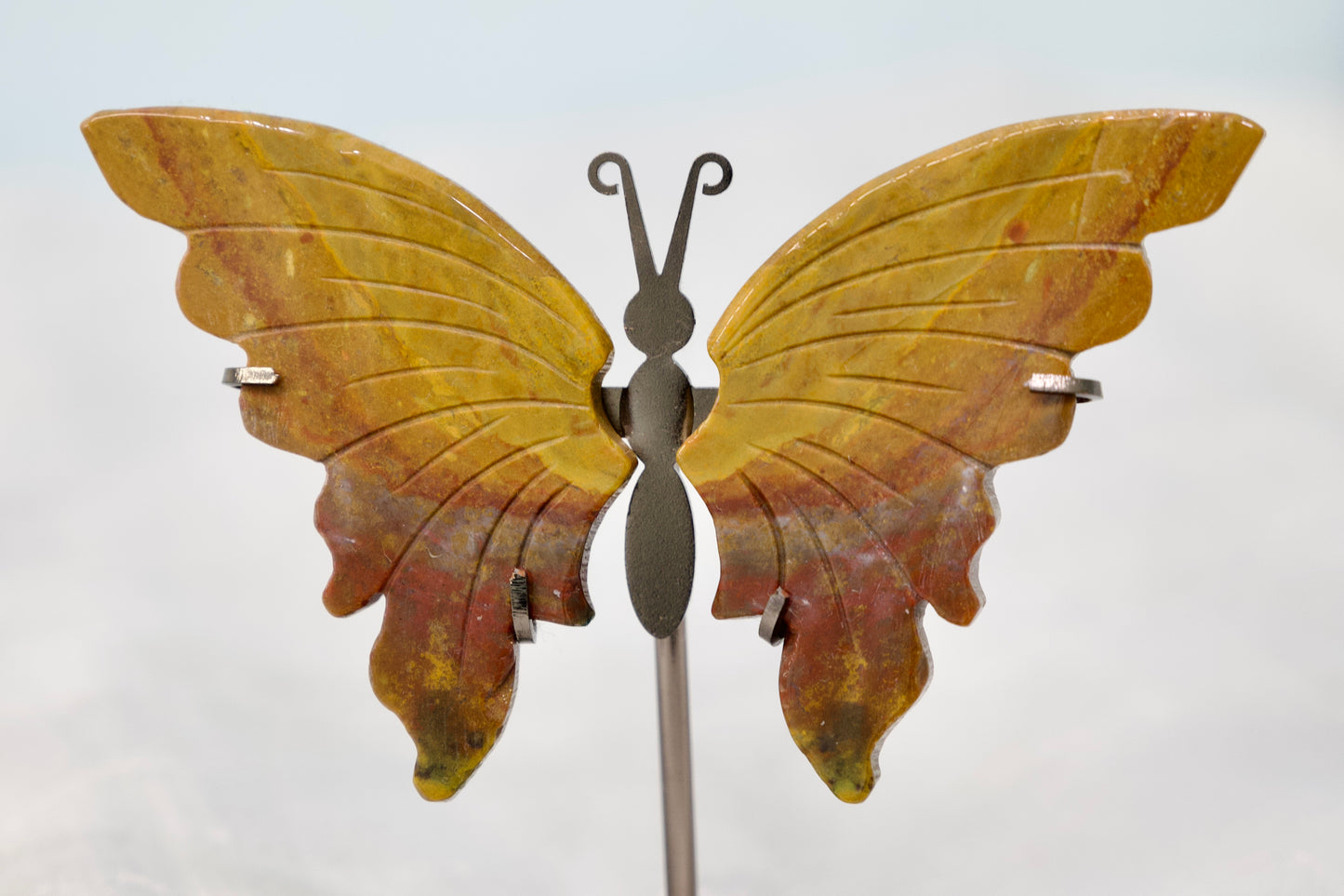 Ocean Jasper Butterfly
