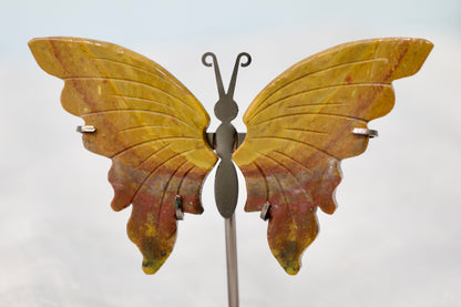 Ocean Jasper Butterfly