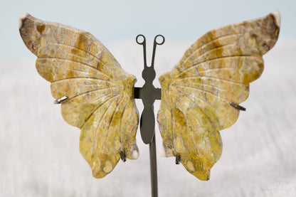 Butterfly from Čmrljev Jasper