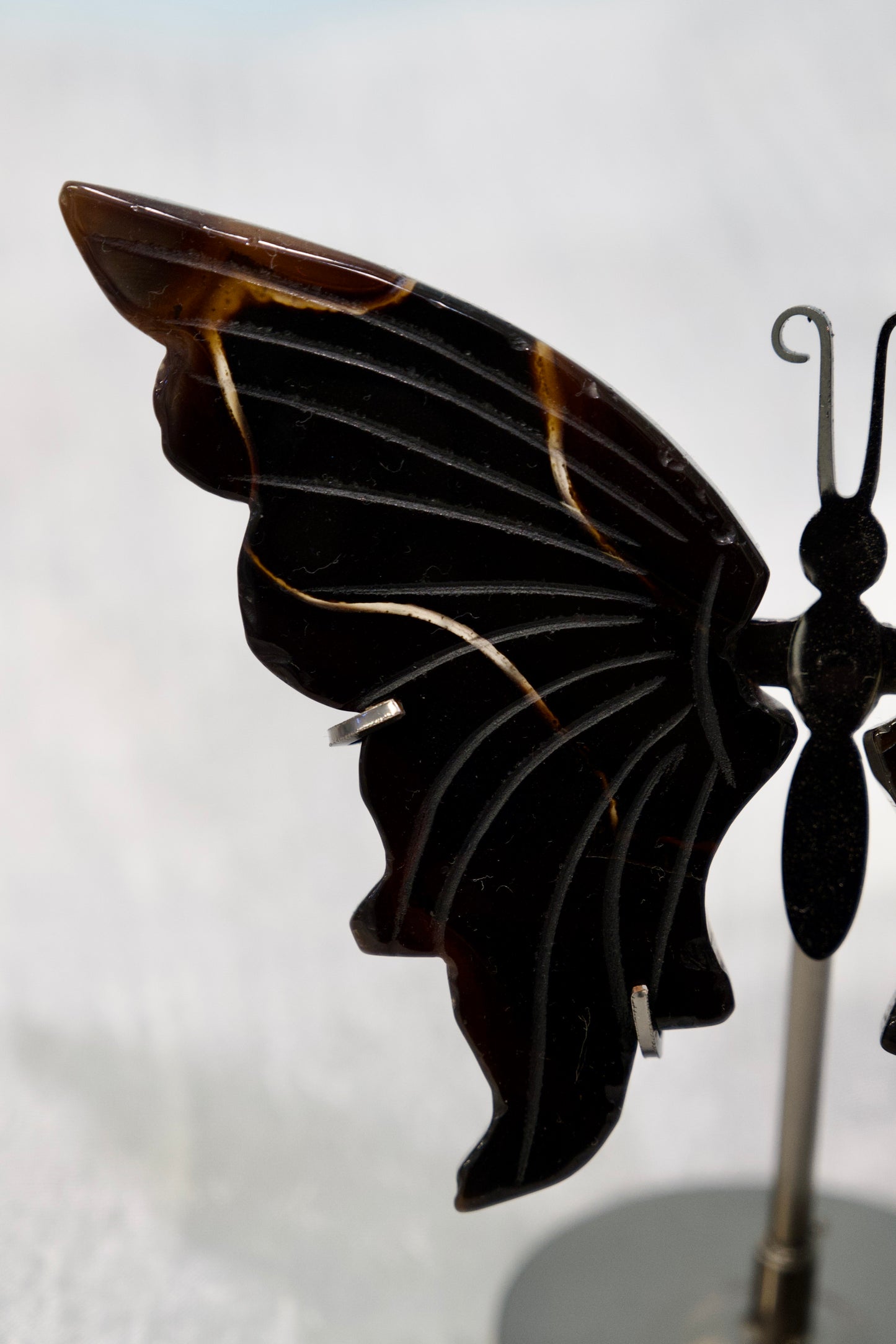 Butterfly from Stone Arrow