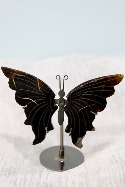 Butterfly from Stone Arrow