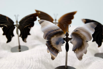 Butterfly from Stone Arrow