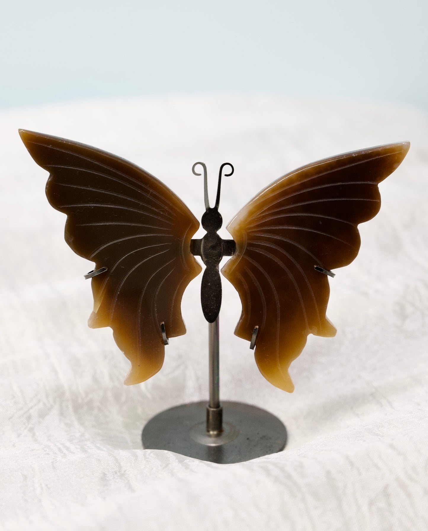 Butterfly from Stone Arrow