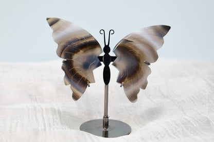 Butterfly from Stone Arrow