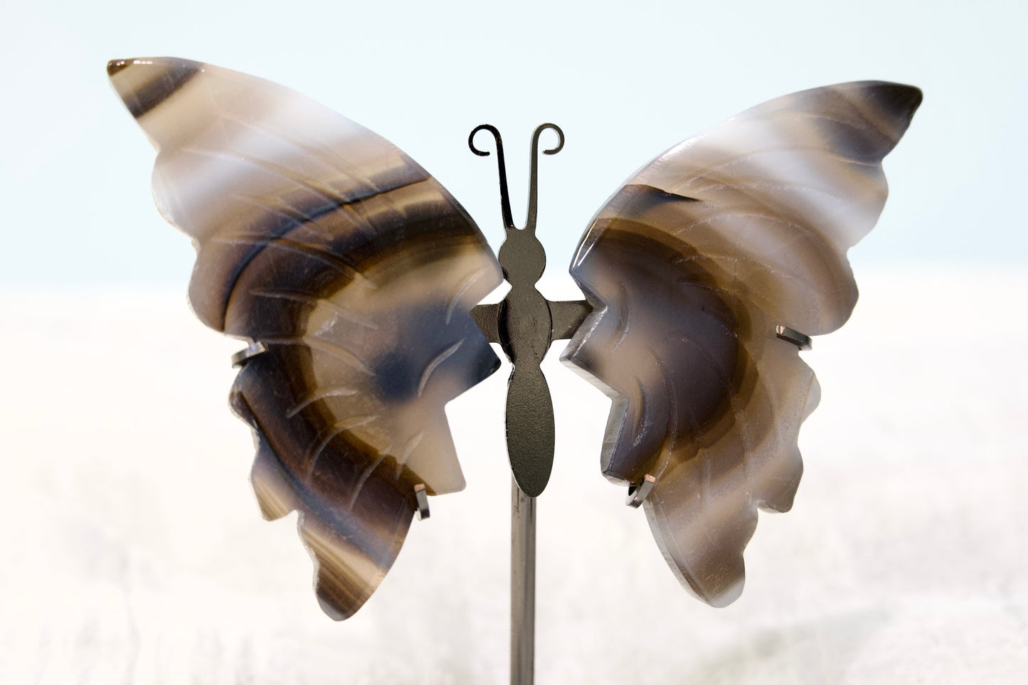 Butterfly from Stone Arrow