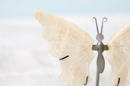 Butterfly from Stone Arrow