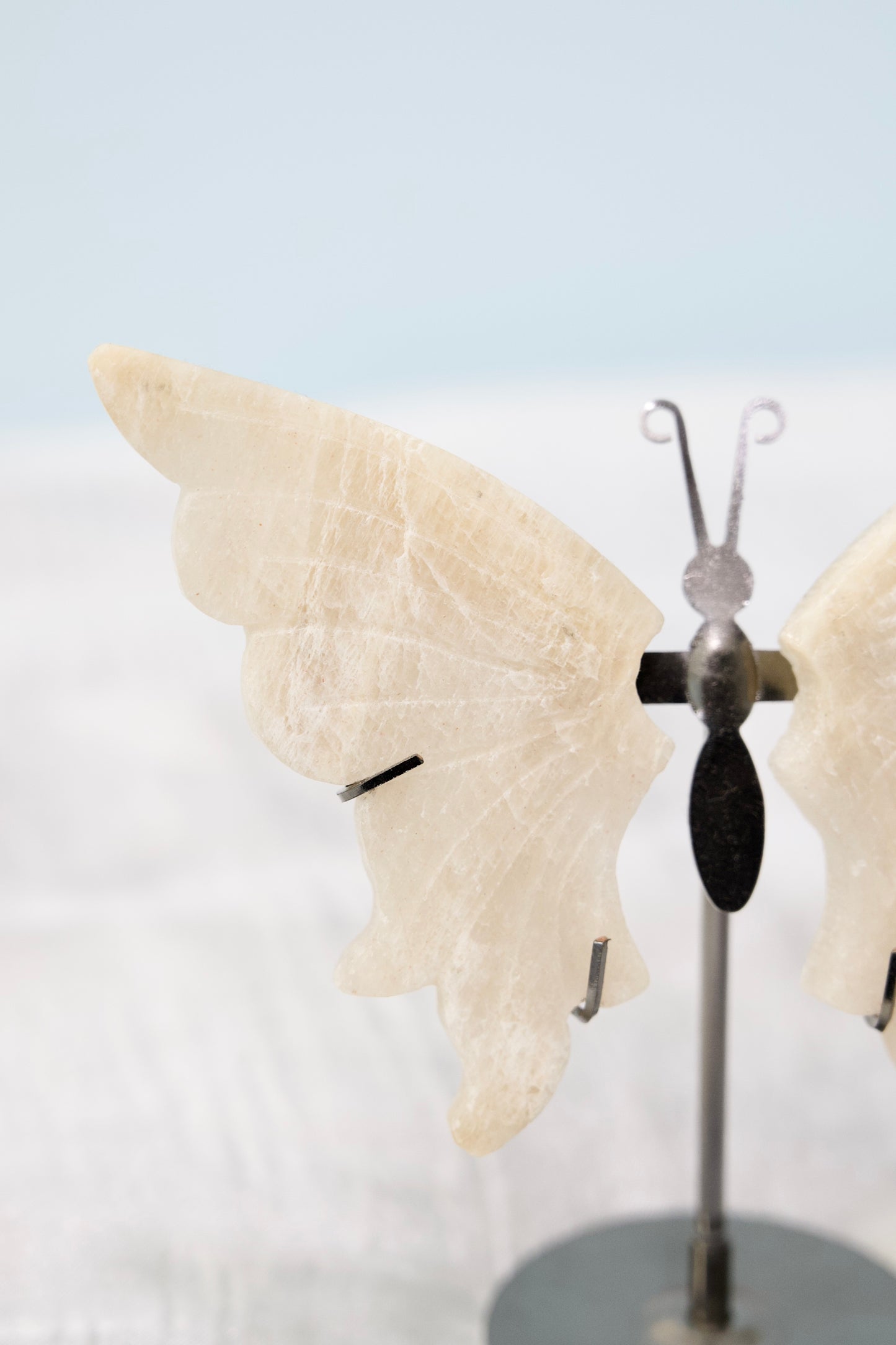 Butterfly from Stone Arrow