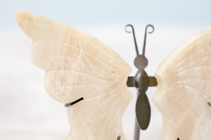 Butterfly from Stone Arrow