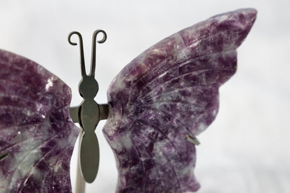 Butterfly from Stone Arrow
