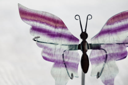 Fluorite Butterfly