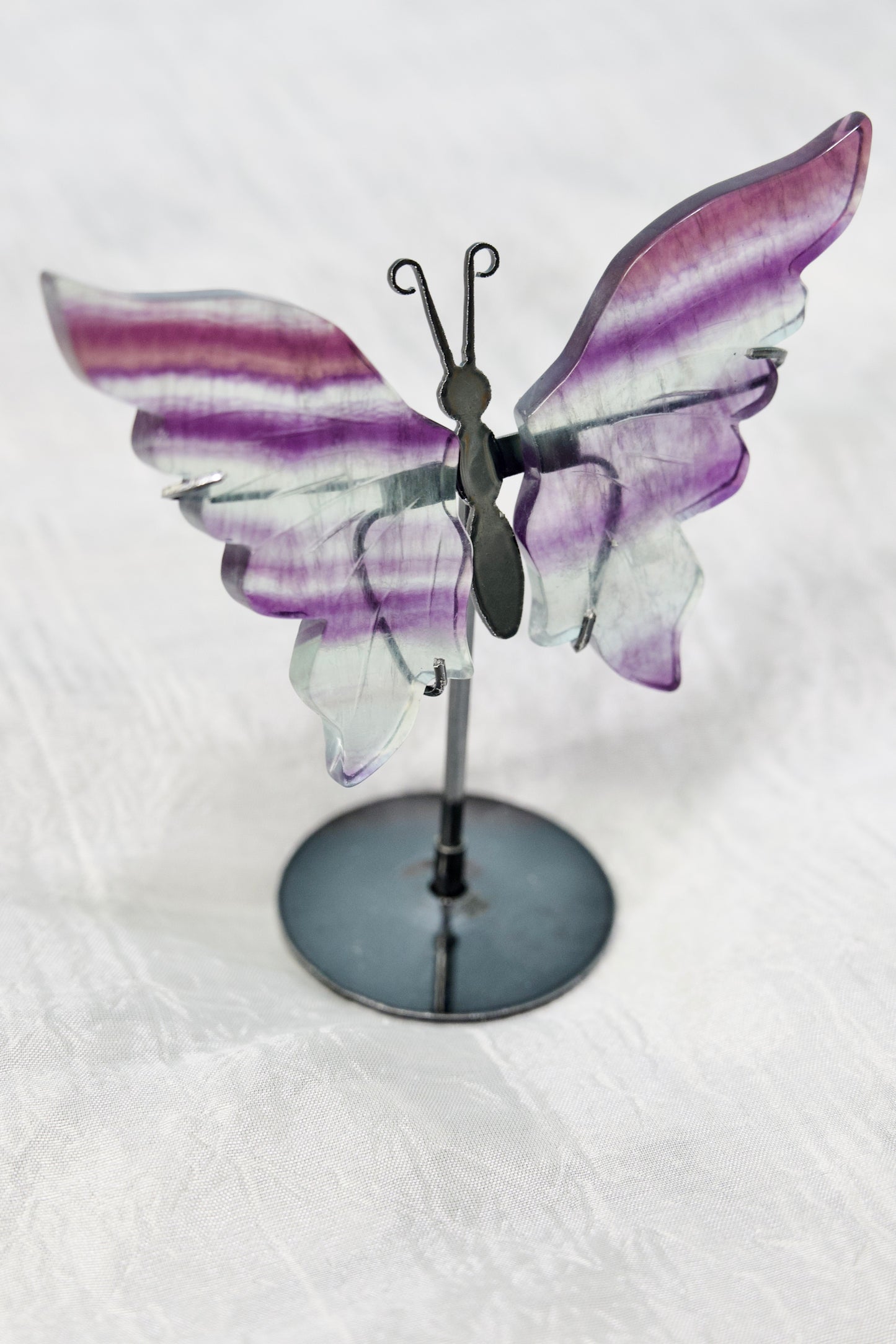 Fluorite Butterfly