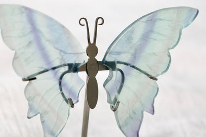 Fluorite Butterfly