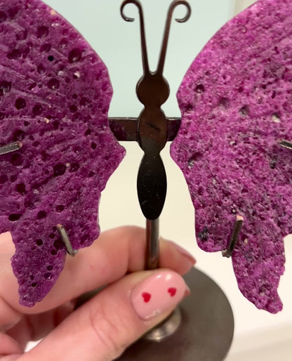 Butterfly from Hole Ruby