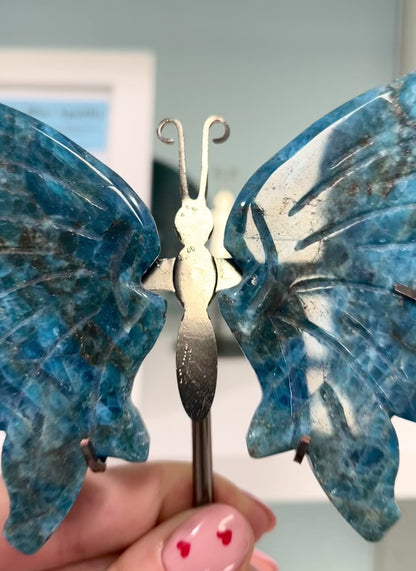 Butterfly from Blue Apatite