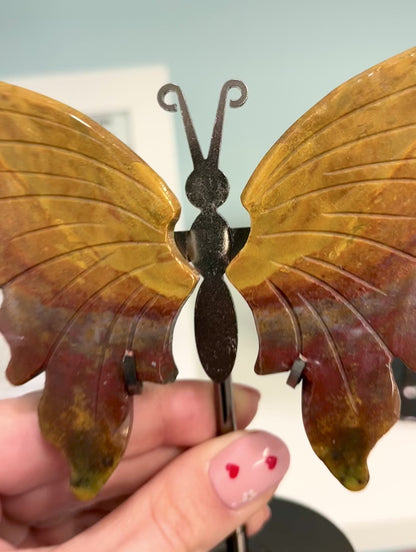 Ocean Jasper Butterfly
